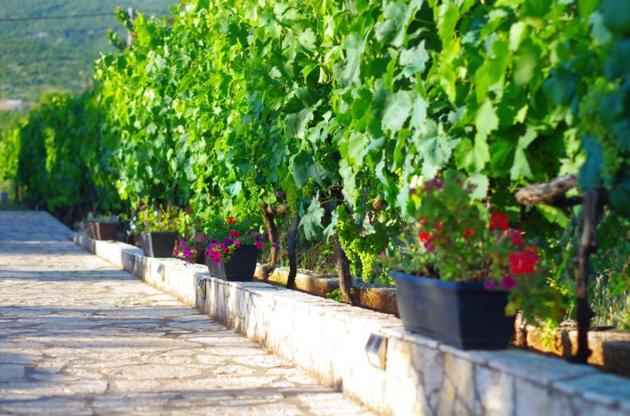 Villa Jakov Kraj  Ngoại thất bức ảnh